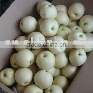 Ya Pear thumbnail-1