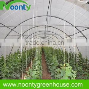 Green House thumbnail-1