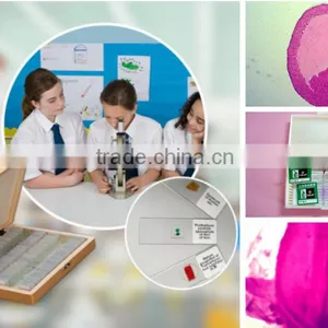Chicken Embryo Teaching Slides thumbnail-2