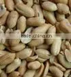 Peanuts/Rosted and Salted Peanuts/Canned Peanuts thumbnail-4