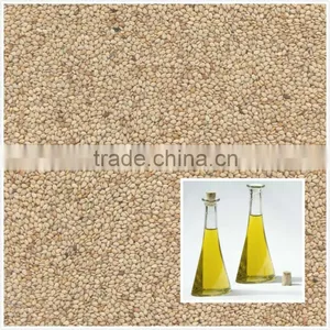 Natural Sesame Seeds, White Sesame Seeds, New Crop Whitish Sesame Seeds thumbnail-2
