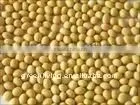 Fresh Soya Bean in China thumbnail-1