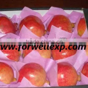 Pomegranates thumbnail-1