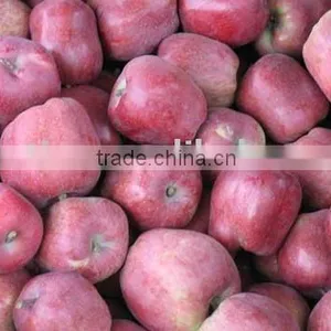 Fresh Huaniu Apple From Highland thumbnail-1