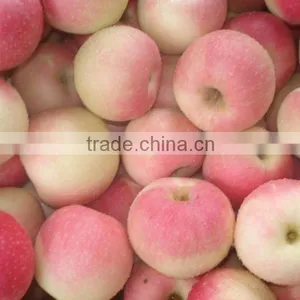 Fresh Chinese Red Gala Apple 2014 Crop thumbnail-1