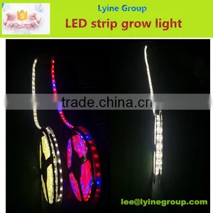 IP65 Waterproof 12V/220V RGB Multi Color Led Strip 5050 thumbnail-1