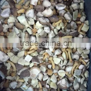 Frozen Mixed Mushroom thumbnail-1