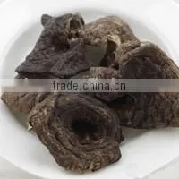 Dried Sarcodon Imbricatus Mushroom thumbnail-6
