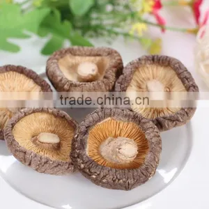 Shiitake Mushroom/champignon/Chinese Mushroom thumbnail-1