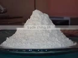 Dehydrated White Onion Powder thumbnail-1