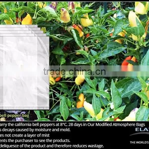 Cauliflower Protective Bag thumbnail-5