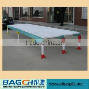 Plastic Slat Poultry Chicken Floor for Farming Equipment thumbnail-2