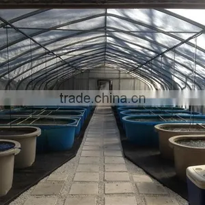 Hot Sale K-1000L Rectangle Plastic Aquaponics Grow Bed thumbnail-2