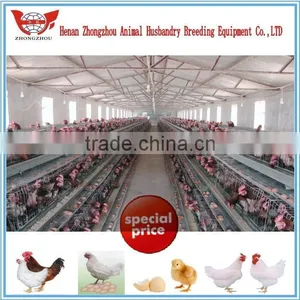 Hot Chicken Layer Cage/ Hens Chicken Cage/chicken Farm/poultry Farm thumbnail-1