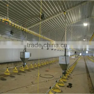 Steel Structure Poultry House thumbnail-1