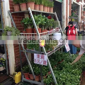 Flower Rolling Display Cart / Steel Rolling Trolley thumbnail-2