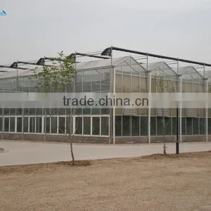 Baolida Low Cost Fruits and Vegetables Greenhouse Kits thumbnail-5