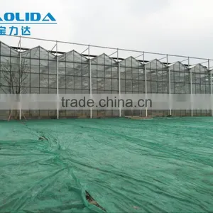 BLD Large Multi-span Plastic Film Greenhouse and Galvanized Steel Frame Greenhouse Kit thumbnail-5