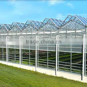 Factory Price PC Sheet Covered Agricultural Greenhouse For Vegetable Seeds thumbnail-3