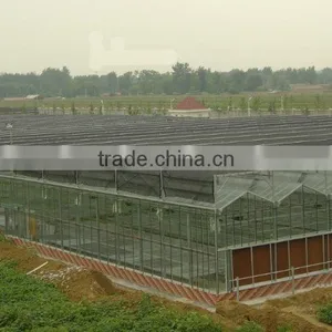 Glass Shade Greenhouse Outside the Band thumbnail-1