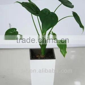 Small Decorative Flower Pots,decoration Pot,desktop Flower Pot thumbnail-1