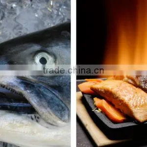 Coho Salmon thumbnail-1