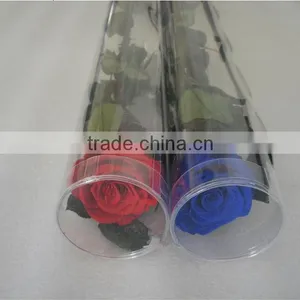 Hot Sale Austin Preserved Rose Flower For Gift Home Decoration From China thumbnail-1