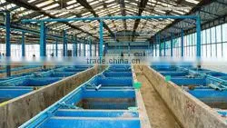 Ornamental Fish Farm and Export Company thumbnail-1