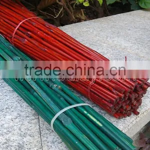 Dyed Different Colors Bamboo Sticks for Garden&agriculture thumbnail-1