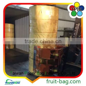 TPBI Fruit Growing Paper Bag Pear Paper Bag Paper Wax Fruit Protective Bags Mango thumbnail-4