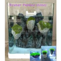 Avatar Pumice Stone, Aquarium Pumice Stone thumbnail-1