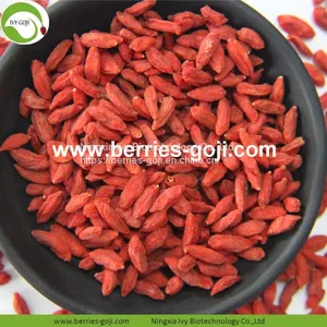 Factory Hot Sale Dried Himalayan Goji Berry thumbnail-1