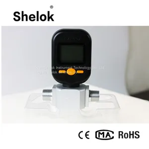 MF5700 Series Air Mass Flow Meter/Digital Air Small Totameter thumbnail-4