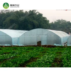 50x8m Vegetable Tomato Single Span PE Plastic Tunnel Greenhouse Sale thumbnail-1