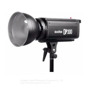 Godox DP300 Photography Studio Strobe Flash Light Power 110V/220V Light Lamp Head For Camera Studio thumbnail-3