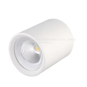 LED Surface Mounted Downlight SMC Series Power Saving Downlights Company White LED Surface Mounted Downlight thumbnail-3
