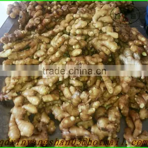 2015 NEW GARLIC/Fresh Garlic/White Garlic/china Garlic thumbnail-5