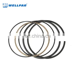 2M4862 Wellfar GMC Vortec 4300 Engine Piston Rings For Chevrolet Suburban Savana Sonomasilverado 1500,2500 Car Engines thumbnail-2