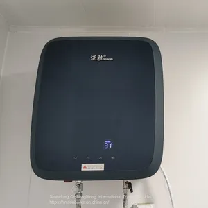 8l 10l 12l 16l Boiler Wall Mounted Calentador de Agua a Gas Mini Gas Water Heater Digital Constant Gaz Gas Water Heater thumbnail-3