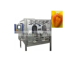 NEW TYPE Fruit Skin Peeling Machine/mango Peeling Machine With Advanced Design thumbnail-1
