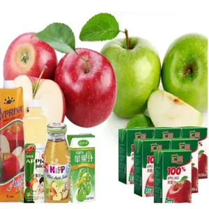 Good Price Automatic Commercial Apple Juice Production Line Auto Complete Industrial Apple Juice Processing Plant for Sale thumbnail-4