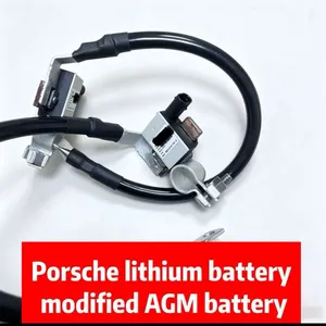 Porsche Lithium Battery to AGM Conversion: Dedicated Negative Cable thumbnail-2