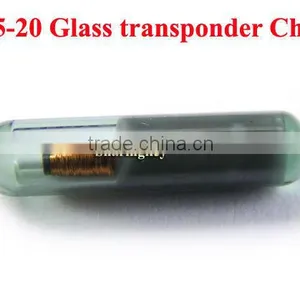 T5-20 Glass Transponder Chip thumbnail-1