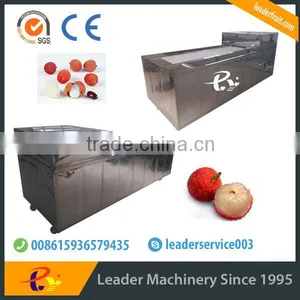 Leader Hot Sales High Quality Lychee Denucleating Machine at a Low Price thumbnail-4