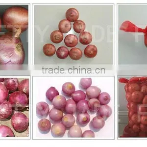 Fresh Red Big Onion thumbnail-1