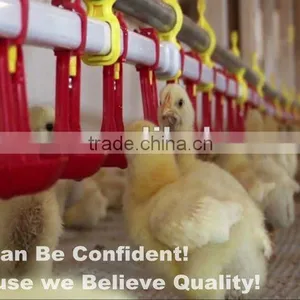 ISO9001 Qualified Chicken House Automatic Poultry Water Drip Cup thumbnail-4