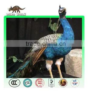 Artificial Peacock Animal Specimen thumbnail-1