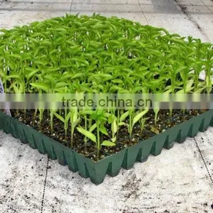 Coco Coir for Mushroom Cultivation India thumbnail-1