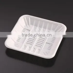 PP Disposable Tray thumbnail-1