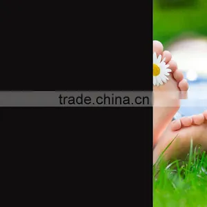 Eco-friend PET Window Film Covering for Glass Decoration thumbnail-1